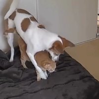 「こうすれば暖かいね」