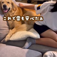 ソファの隅へと避難