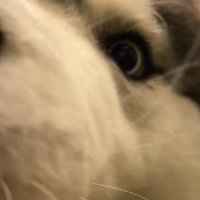 「おかえり！！」