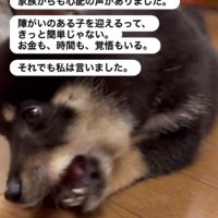 この子を失いたくない…