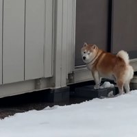 事務所だった！！