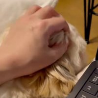 優しく