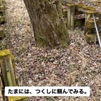 右の遊歩道を歩いていた垂れ耳の犬に合図を送る飼い主