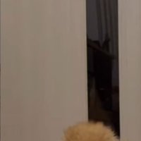 パパさんが帰ってきたら…