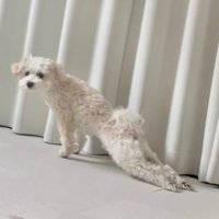 伸びの体勢も違和感が…