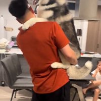 抱っこされるニーナちゃん