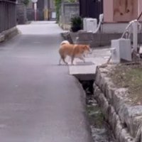 キュンキュンが止まらない♡