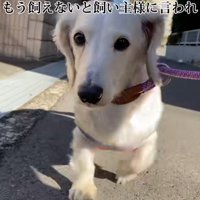 1年足らずで手放されることに…