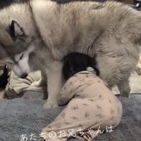 体を起こして歩き出そうとする赤ちゃん