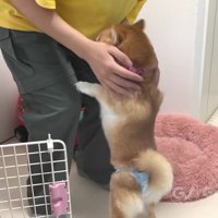 会えてよかったね♪