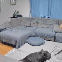 レティちゃんとの思い出