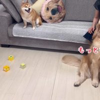 ばあばに甘えるおからちゃん