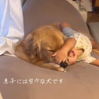 鼻をつかむ息子さん