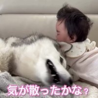落ち着いた赤ちゃんのそばで寝転ぶ犬