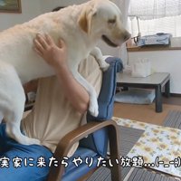 「わたしも抱っこして！」