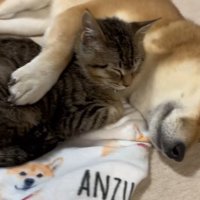 背中に腕を回して…