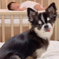 すずちゃんと赤ちゃん2