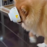 「おっとっと…」