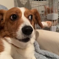 お目目をキョロキョロ…