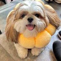 笑顔