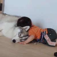 「このモフモフ、最高…」