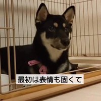 あまり表情がない…