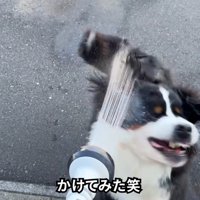 顔面に水を浴びたら…