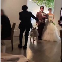 結婚式を挙げたそう