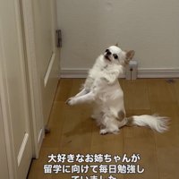 「出てきてよぉ」