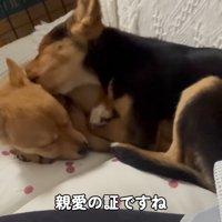 兄妹の成長が楽しみです！