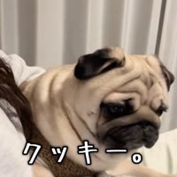 勢い余って立ち上がりそうに