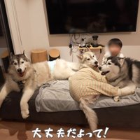 「落ち着いてね」