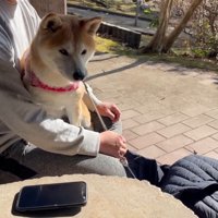 休憩中はお膝の上にお座り
