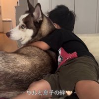 男の子を慰めるウルくん