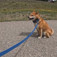 「ちょっと休憩したいな～」