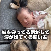 あぽ君とのえる君と赤ちゃん4