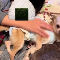 コミュニケーションもとれるように…