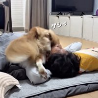 パパの顔面を蹴り