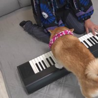 興味がありすぎて前のめりに