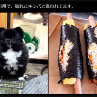 「キンパ」にそっくり！？