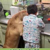 「どちらか先に落ち着くかな？」