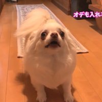 一緒に入りたいようです♡