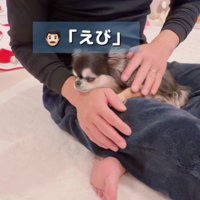 「そろそろネンネだよ」