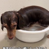 「これでいいか…」