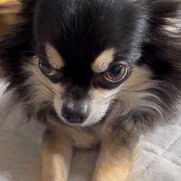 子ども