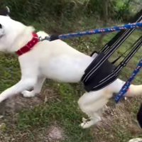 10年以上繋がれっぱなしだった…