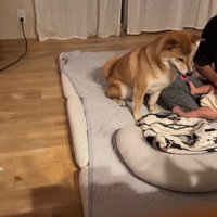 ほっと一安心のむぎちゃん