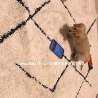 びっくりして振り向くツキちゃん
