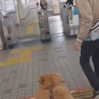 何度も戻っては…