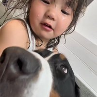 泣き止んだ子供と大型犬